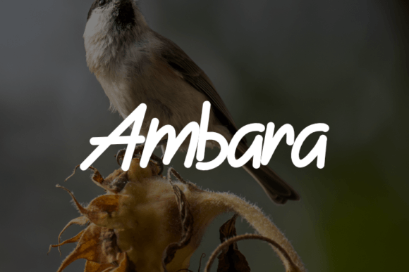 Ambara Font - Featured Image