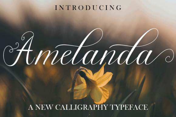 Amelanda Font - Featured Image