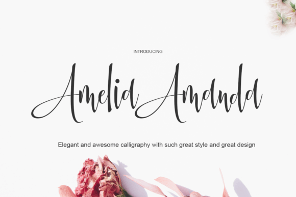 Amelia Amanda Font - Featured Image