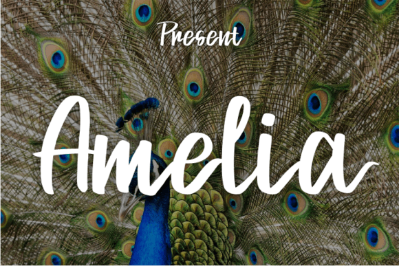 Amelia Font - Featured Image