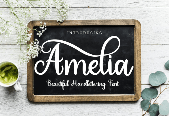 Amelia Font - Featured Image