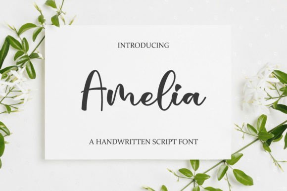 Amelia Font - Featured Image