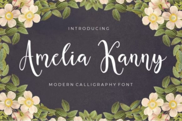 Amelia Kanny Font - Featured Image