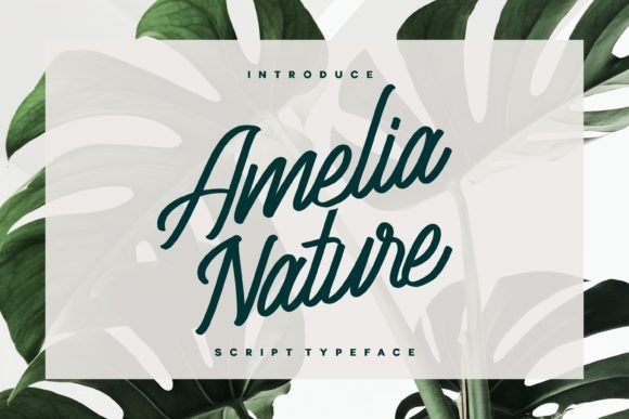 Amelia Nature Font - Featured Image