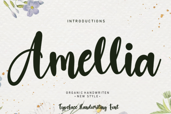 Amellia Font - Featured Image