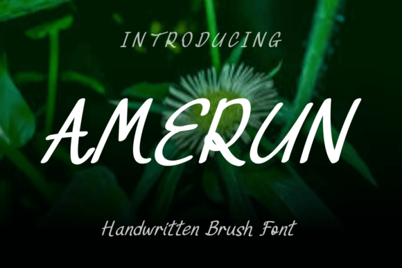 Amerun Font - Featured Image