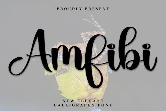 Amfibi Font - Featured Image