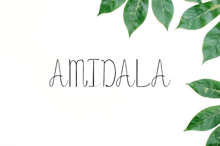 Amidala Font - Featured Image