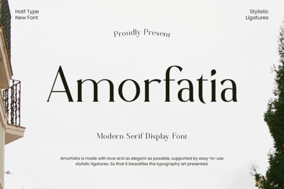 Amorfatia Font - Featured Image