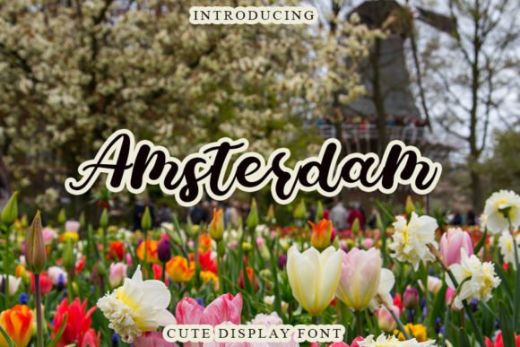 Amsterdam Font - Featured Image