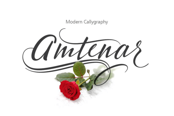 Amtenar Font - Featured Image