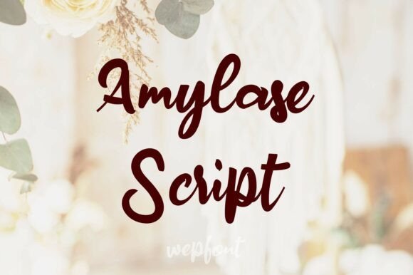Amylase Script Font - Featured Image