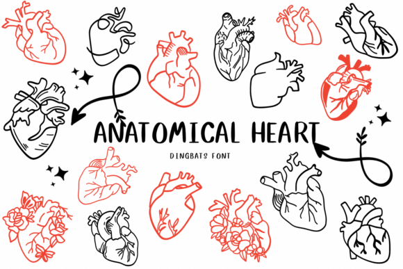 Anatomical Heart 1 Font - Featured Image