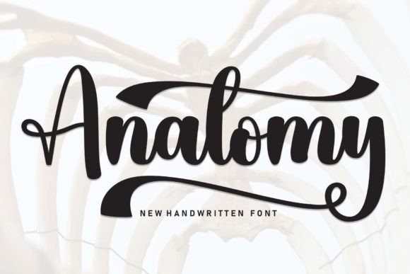 Anatomy Font - Featured Image