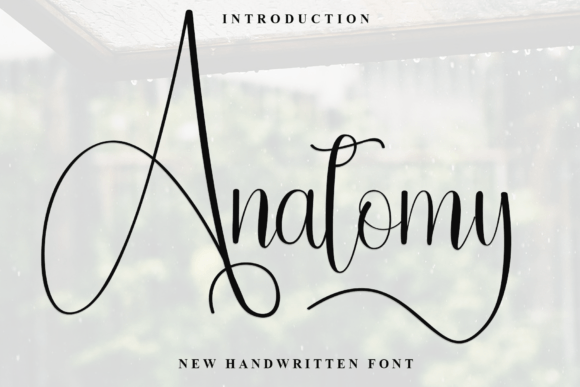 Anatomy Font - Featured Image