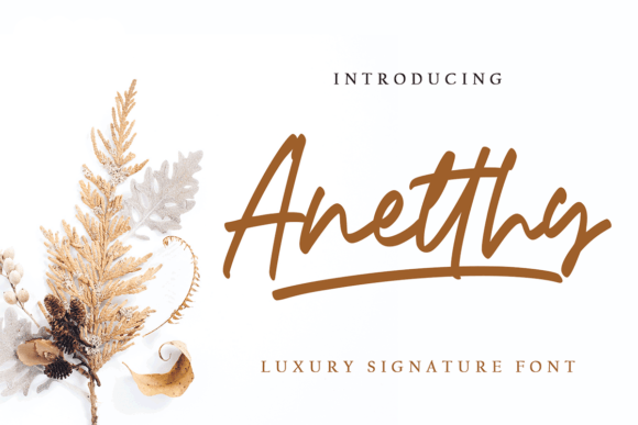 Anetthy Font - Featured Image