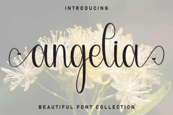 Angelia Font - Featured Image