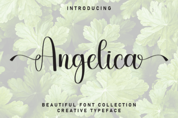 Angelica Font - Featured Image