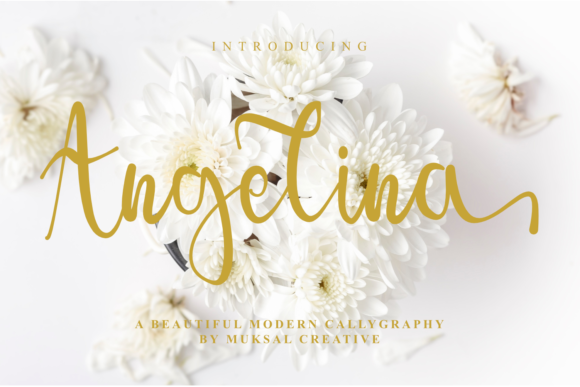 Angelina Font - Featured Image