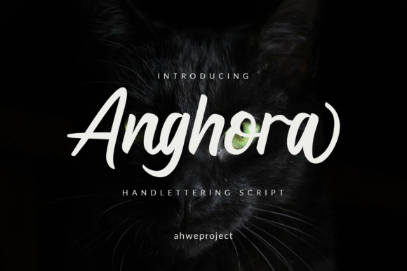 Anghora Font - Featured Image
