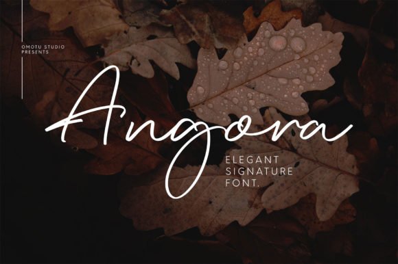 Angora Font - Featured Image