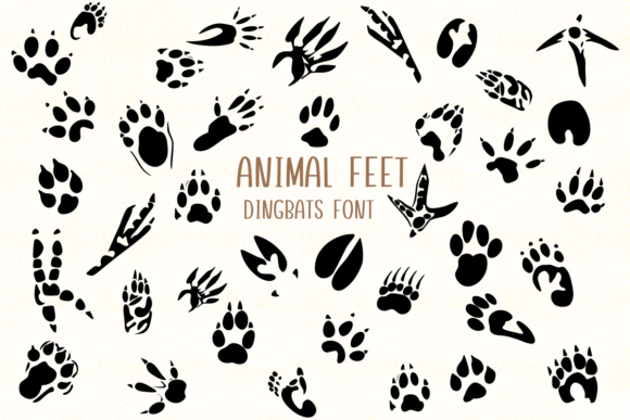 Animal Feet Font - Featured Image