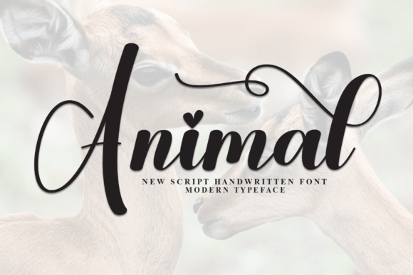 Animal Font - Featured Image