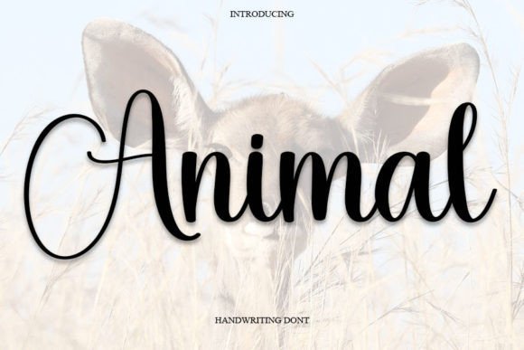 Animal Font - Featured Image
