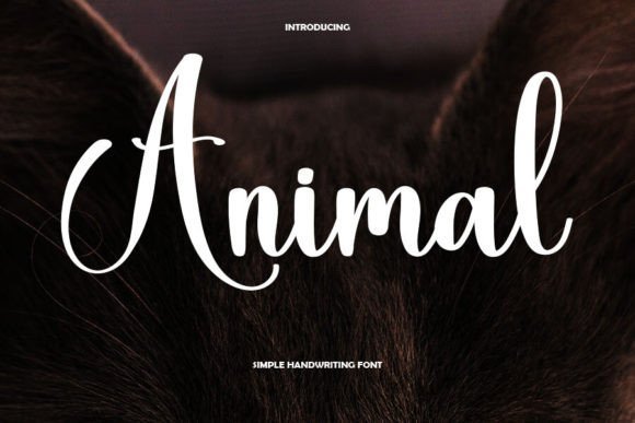 Animal Font - Featured Image