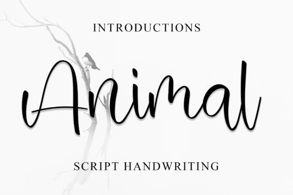 Animal Font - Featured Image