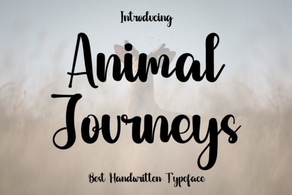 Animal Journeys Font - Featured Image