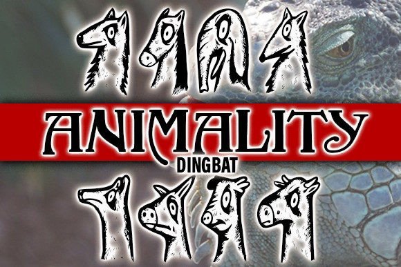 Animality Font - Featured Image
