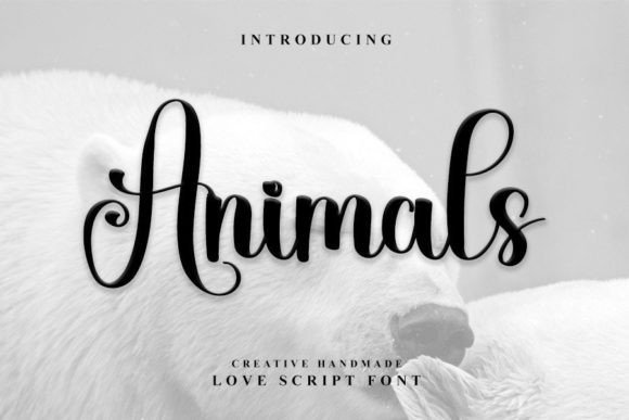 Animals Font - Featured Image