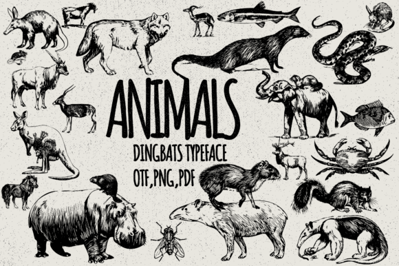 Animals Font - Featured Image