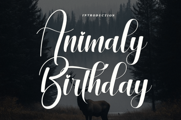 Animaly Birthday Font - Featured Image
