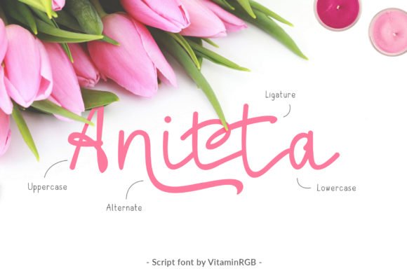 Anitta Script Font - Featured Image