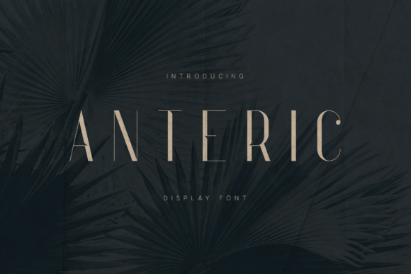 Anteric Font - Featured Image
