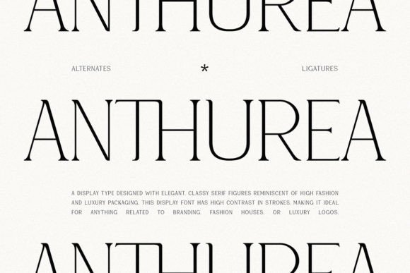 Anthurea Font - Featured Image