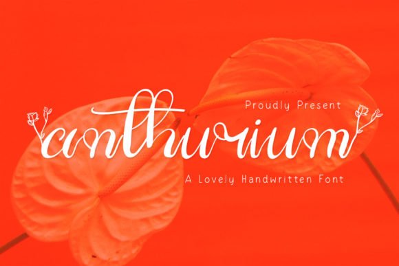 Anthurium Font - Featured Image