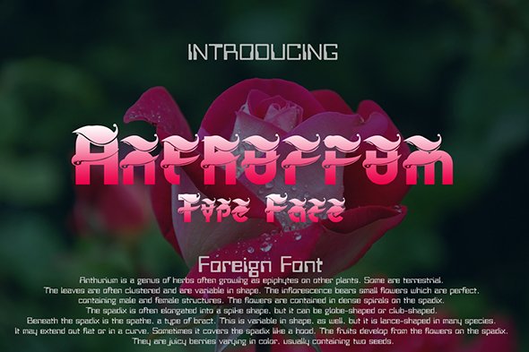 Anthurium Font - Featured Image