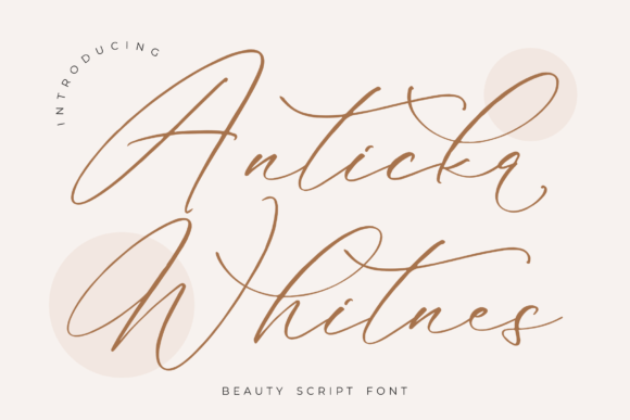 Anticka Whitnes Font - Featured Image