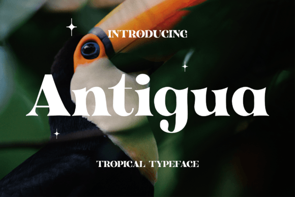 Antigua Font - Featured Image