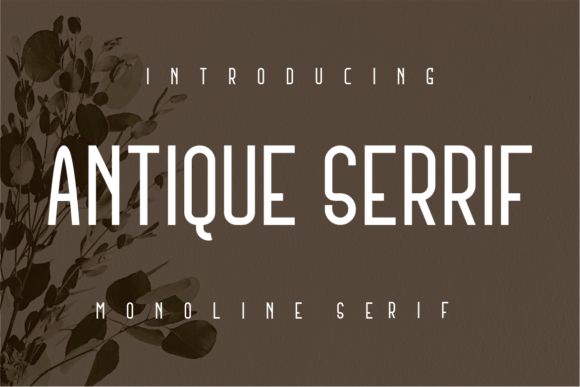 Antique Serrif Font - Featured Image