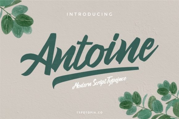 Antoine Font - Featured Image