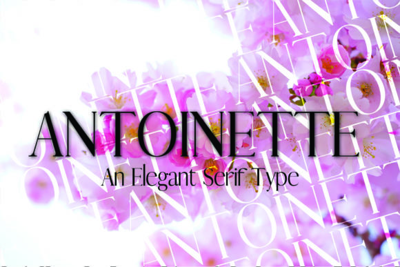 Antoinette Font - Featured Image