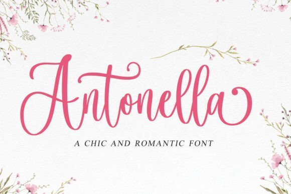 Antonella Font - Featured Image