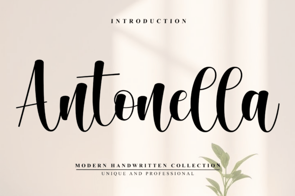 Antonella Font - Featured Image