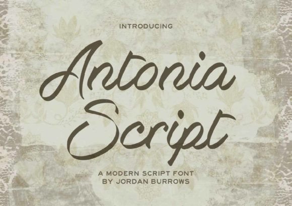 Antonia Script Font - Featured Image
