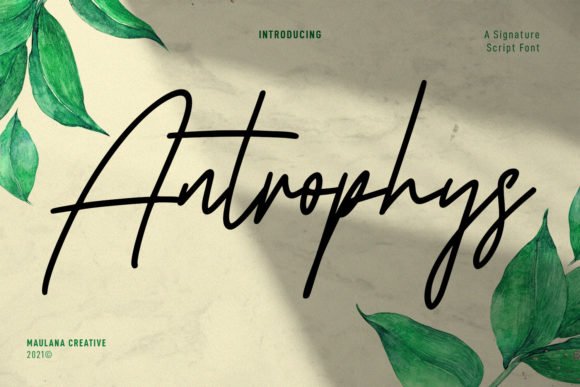 Antrophys Script Font - Featured Image