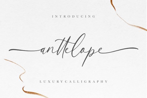 Anttelope Font - Featured Image